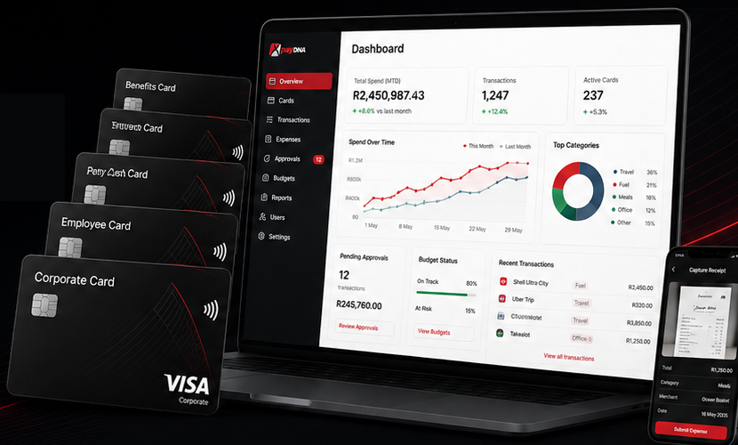 PayDNA cards and expense dashboard preview